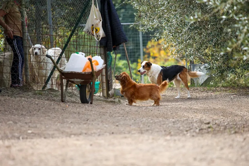 Il loro futuro inizia con te