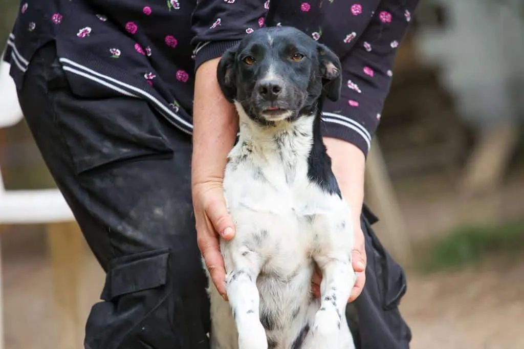 Un gesto d'amore può cambiare tutto