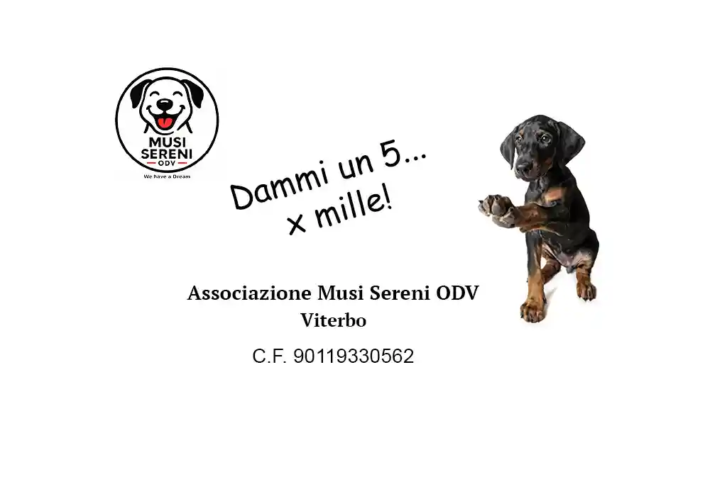 Il tuo 5x1000 vale più di quanto pensi